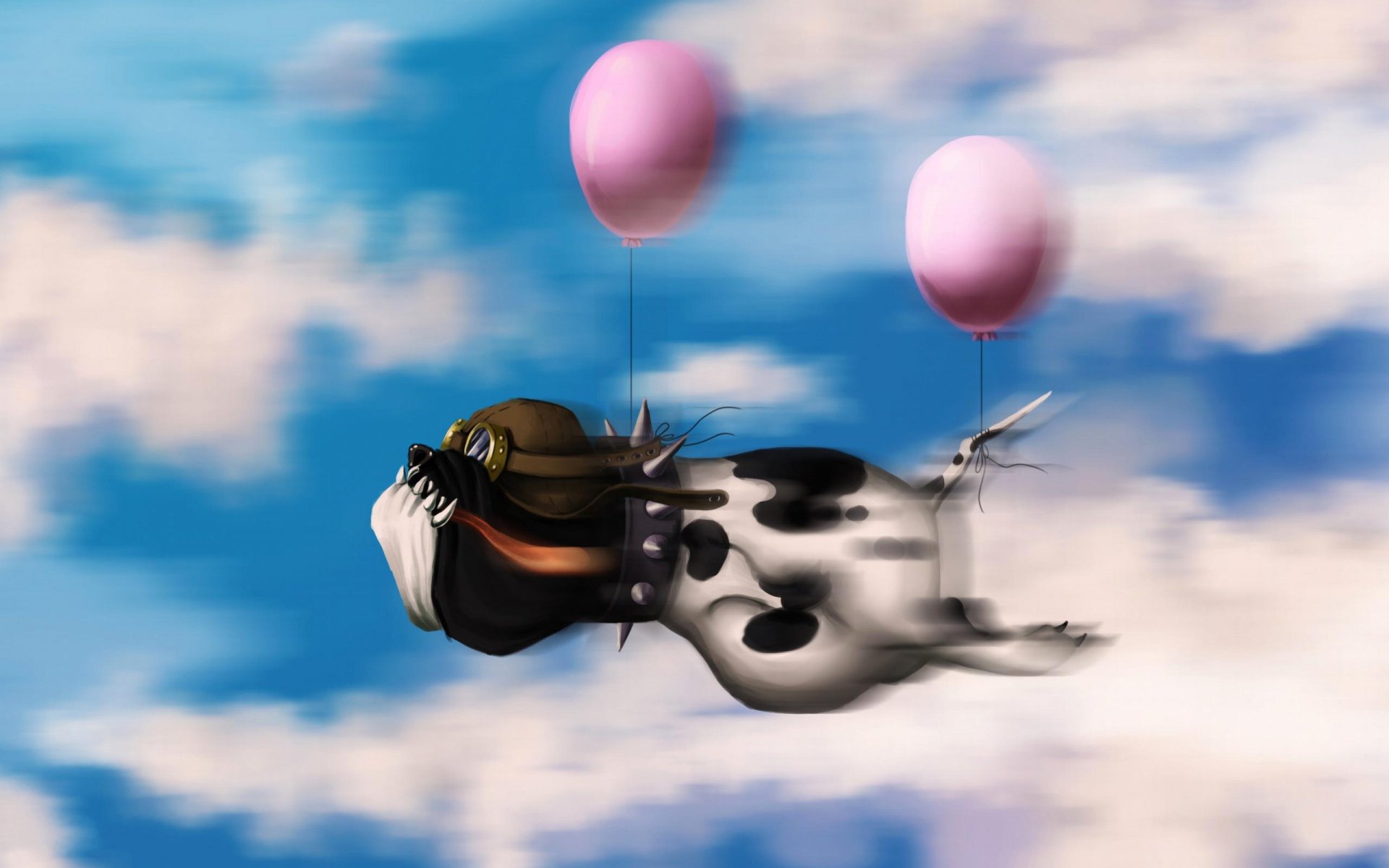 chien pilote ballons ciel nuages