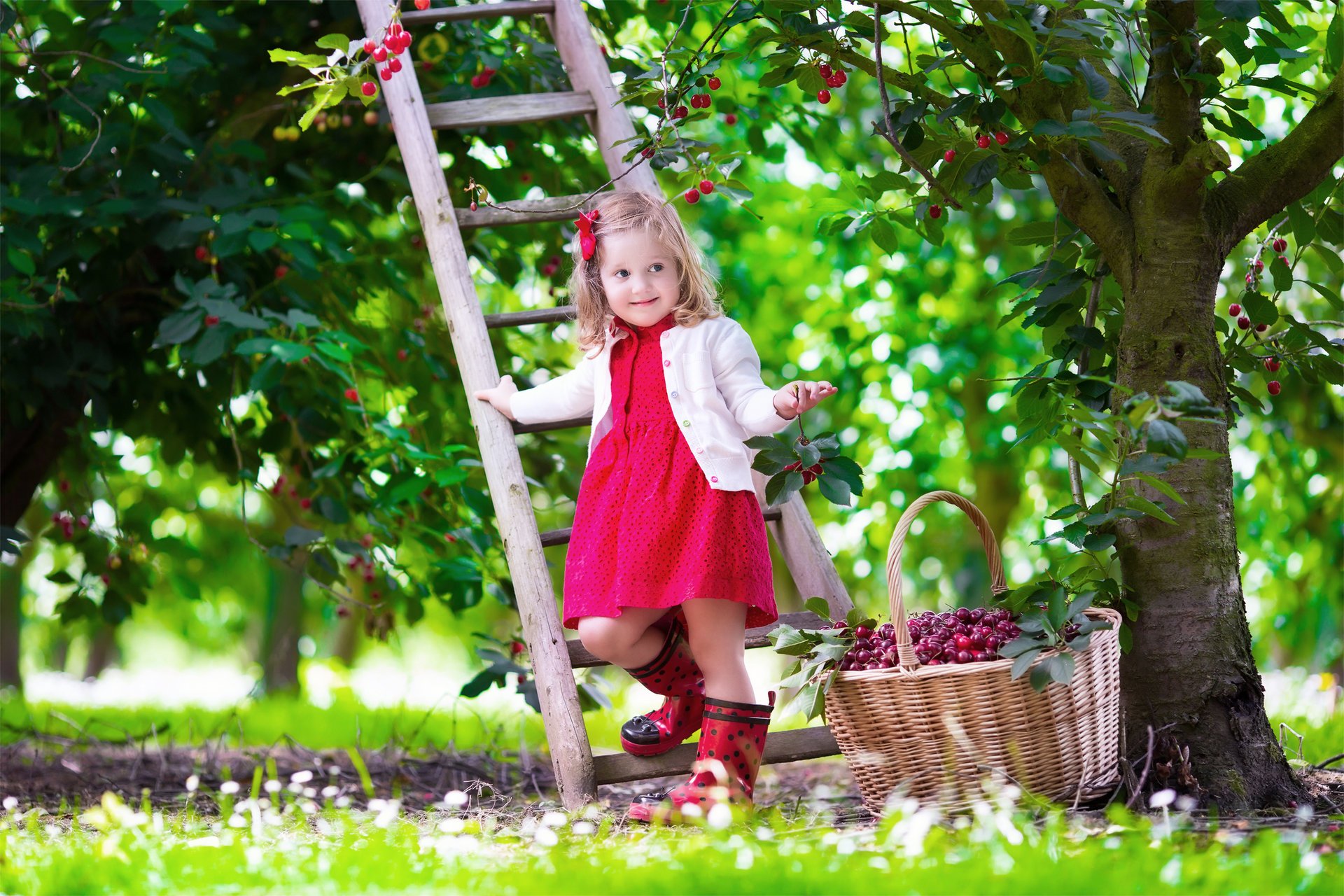 kind mädchen kirsche garten hübsch im sommer mädchen kleid treppe sommer stimmung