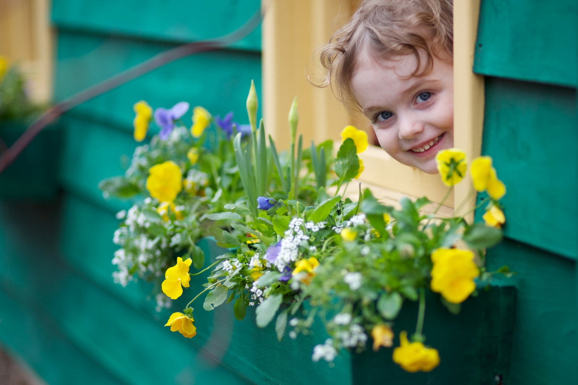 mädchen blumen stimmung