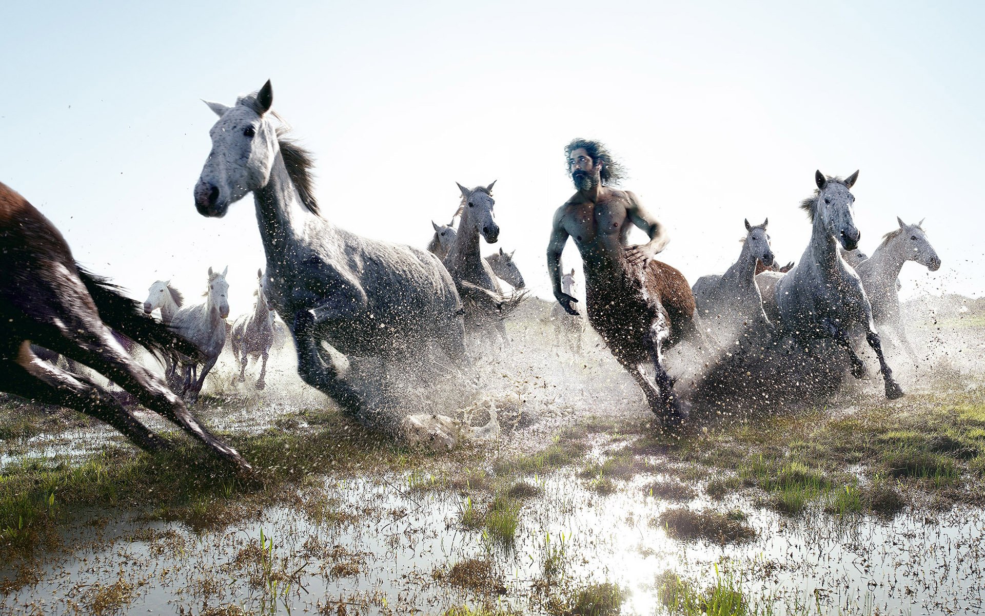 cheval centaure faire du jogging