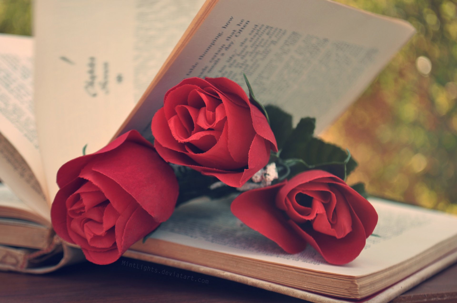 roses flower pages book red