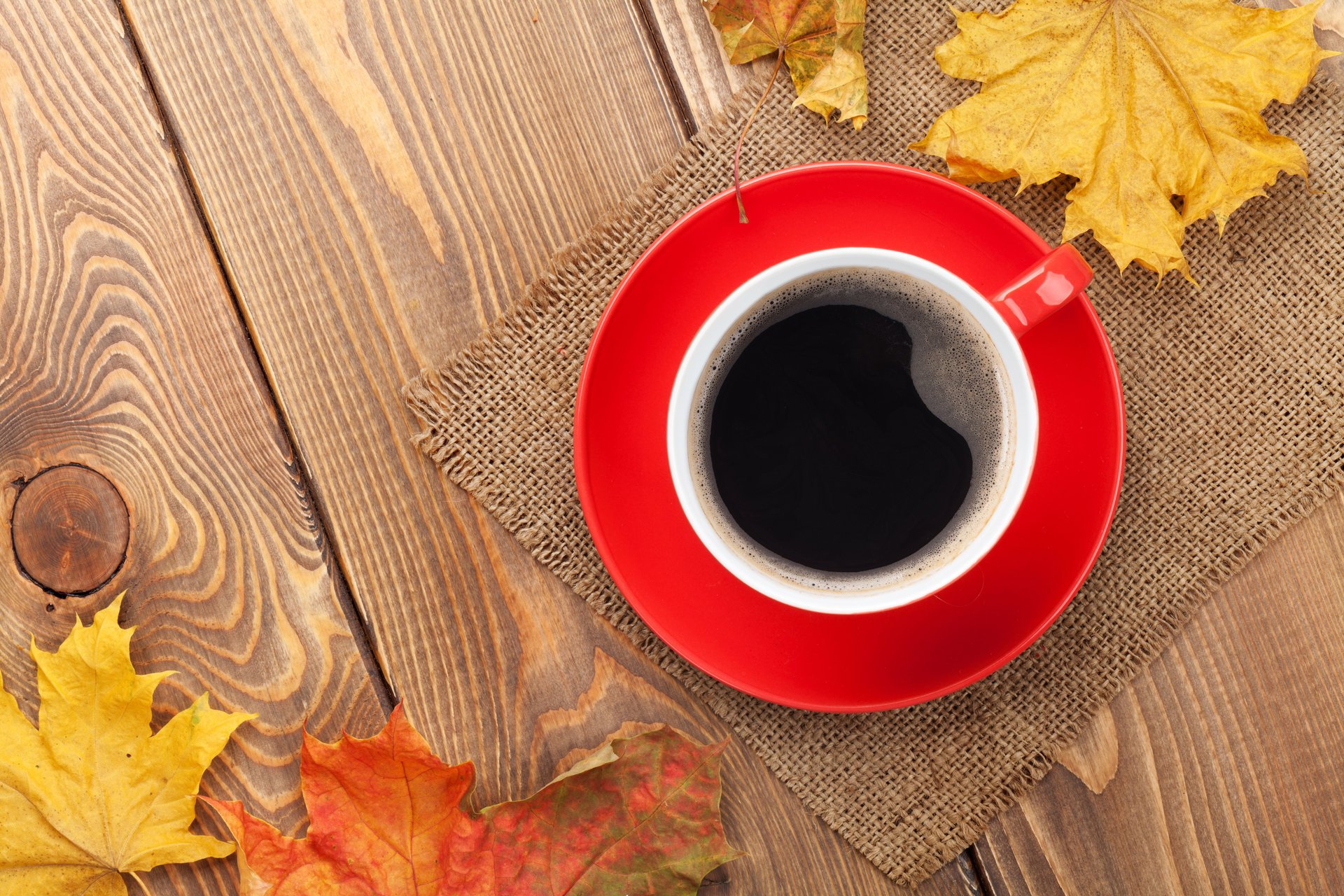 autunno autunno foglie acero tazza caffè foglie d autunno