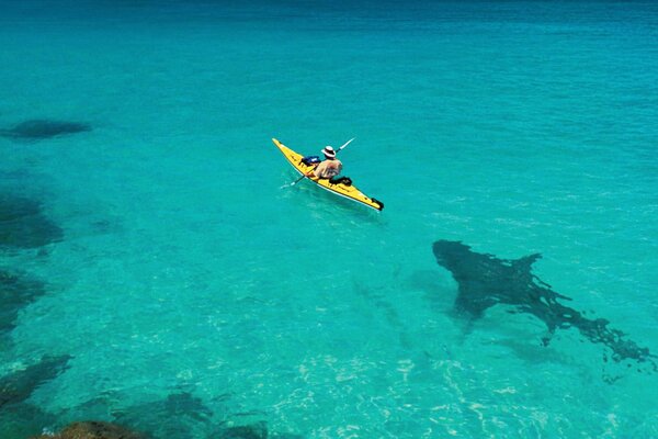 Un tiburón flotando detrás de un barco en el mar