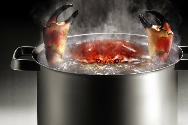 Crab is cooked in a pot with boiling water