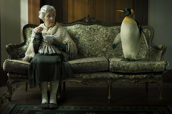 Grandma make friends penguin groom