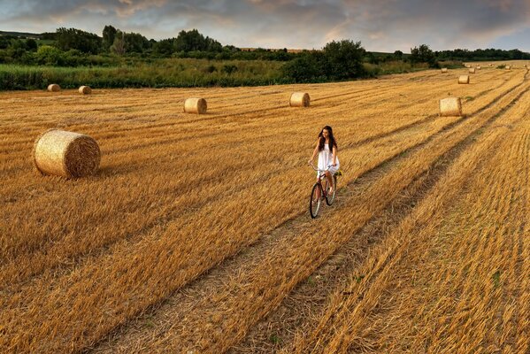 Girl in the field on a bicycle