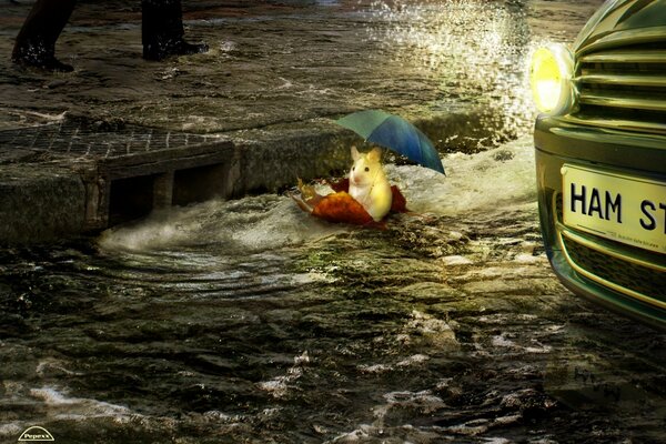 A hamster floats on a mattress in a flooded city