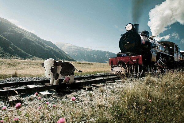 Vaca de pie en los rieles frente a una locomotora de vapor