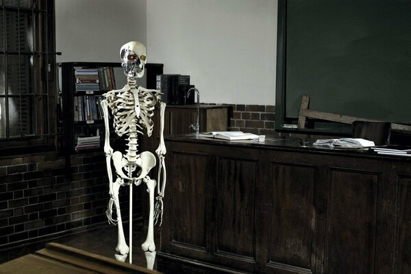 The Terminator skeleton in the classroom