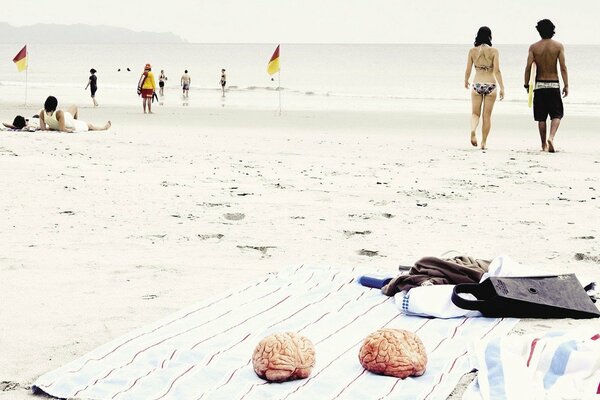 Cervello che prende il sole sulla spiaggia in riva al mare