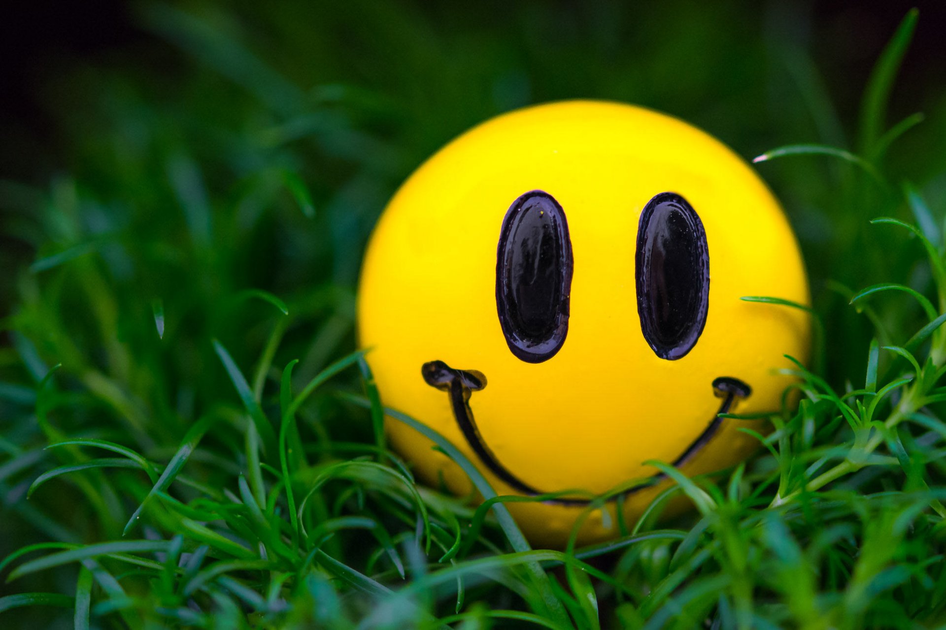 miley grass close up smile