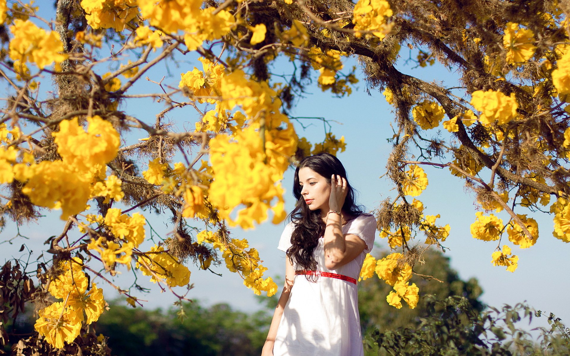 la jeune fille arbre nature