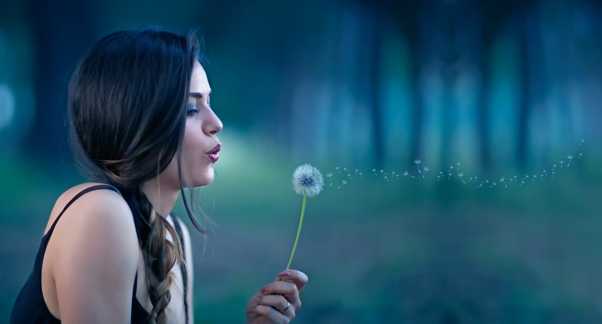 just like a dream girl dandelion sponge bokeh alessandro di cicco