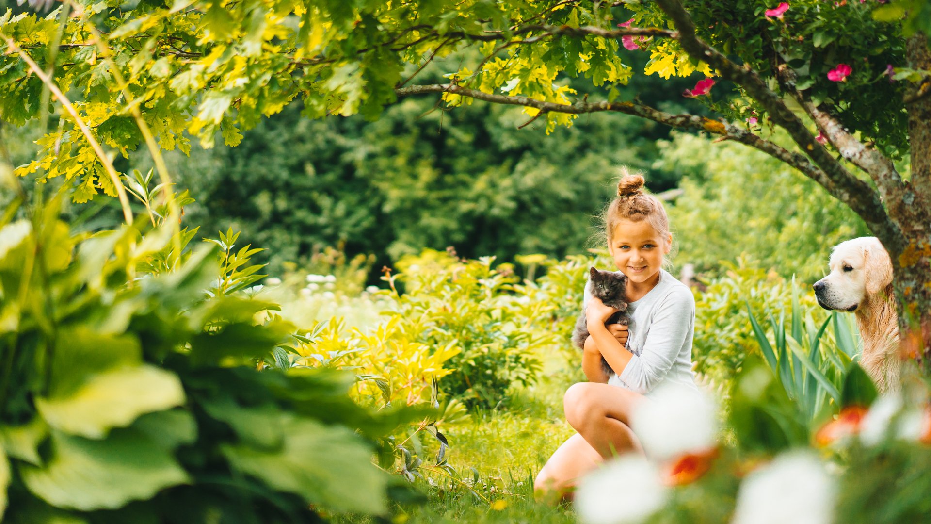 girl dog friends mood nature