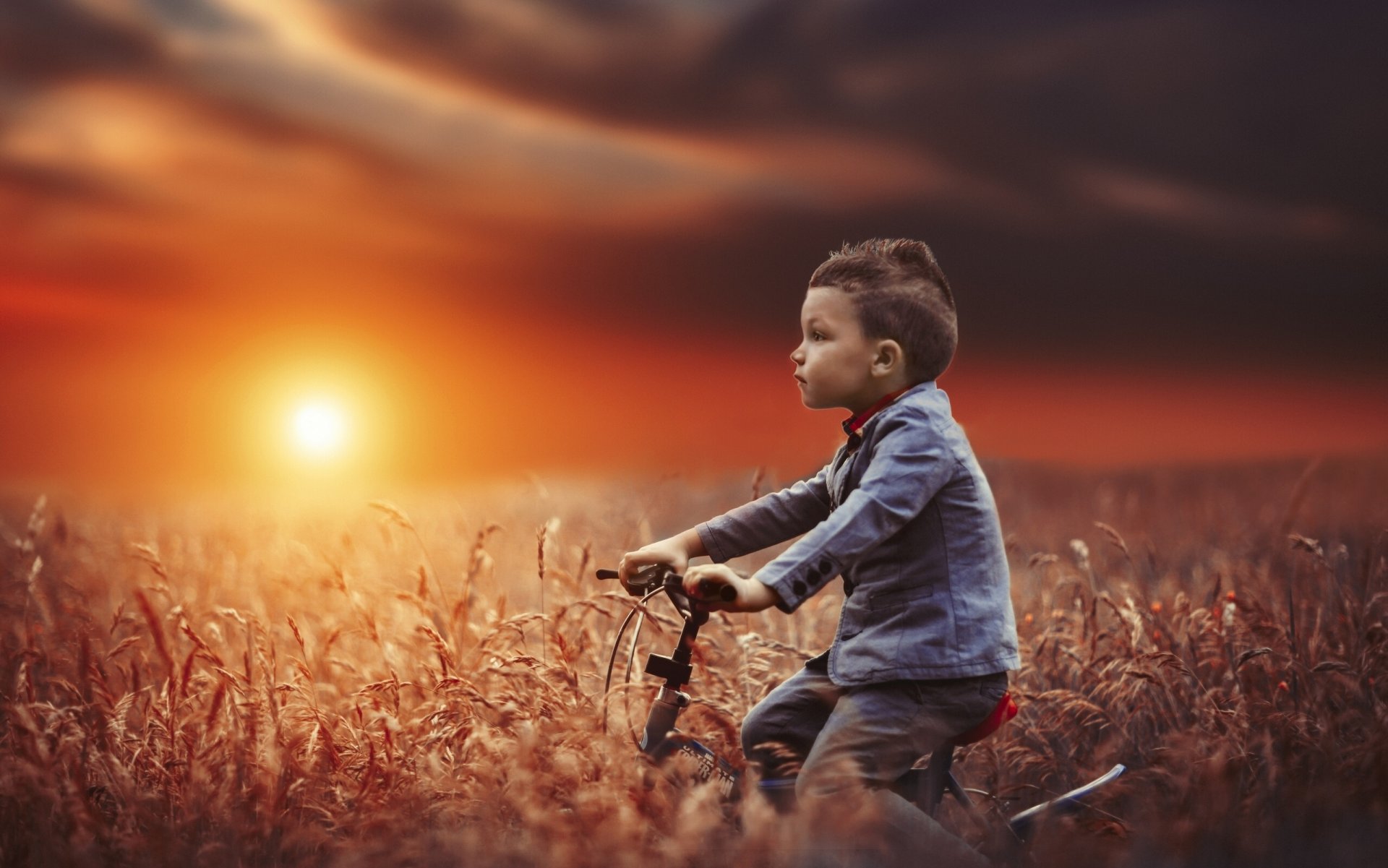 junge fahrrad feld sonnenuntergang stimmung