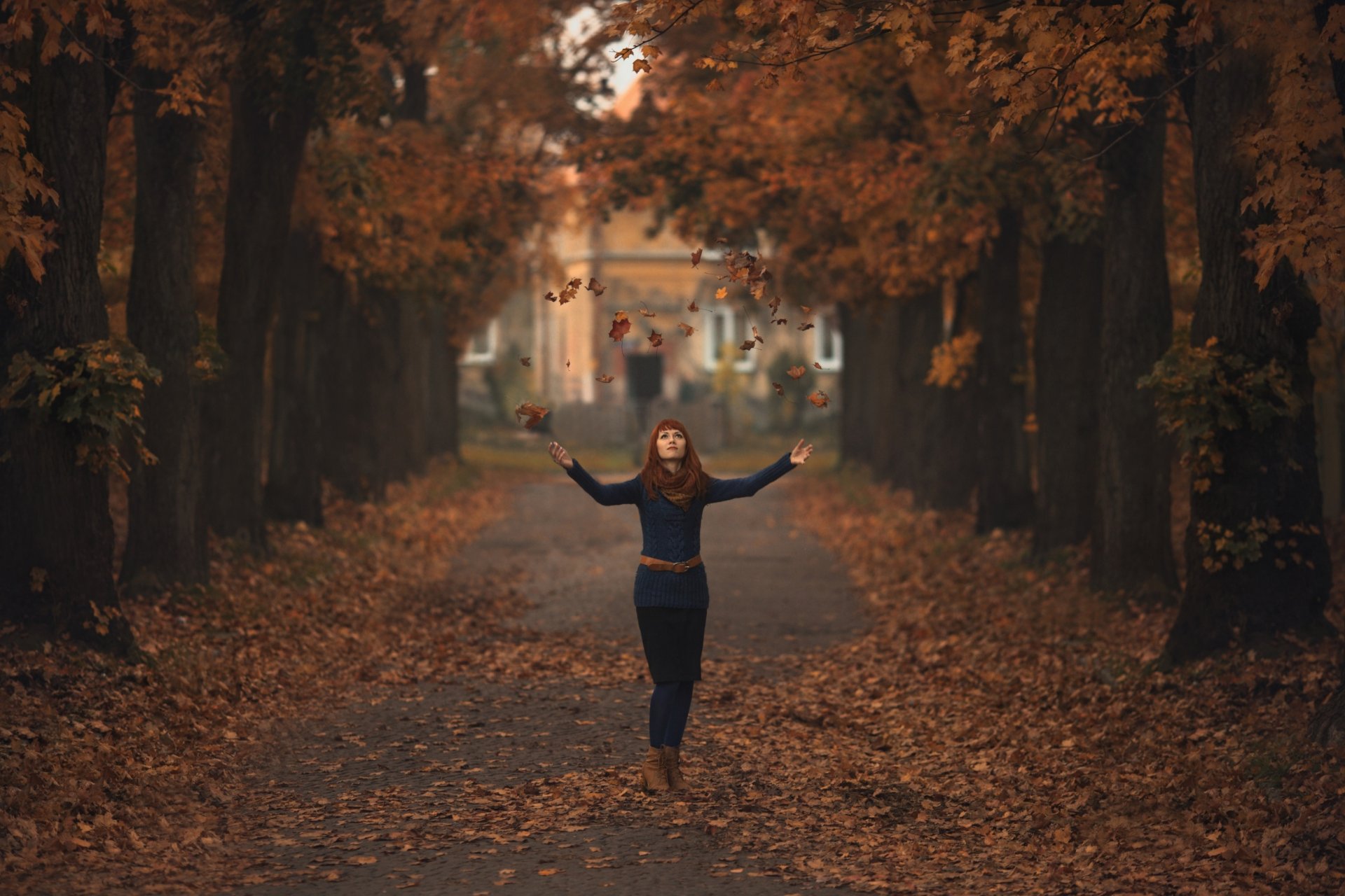 la lumière se déplace la jeune fille l allée les feuilles