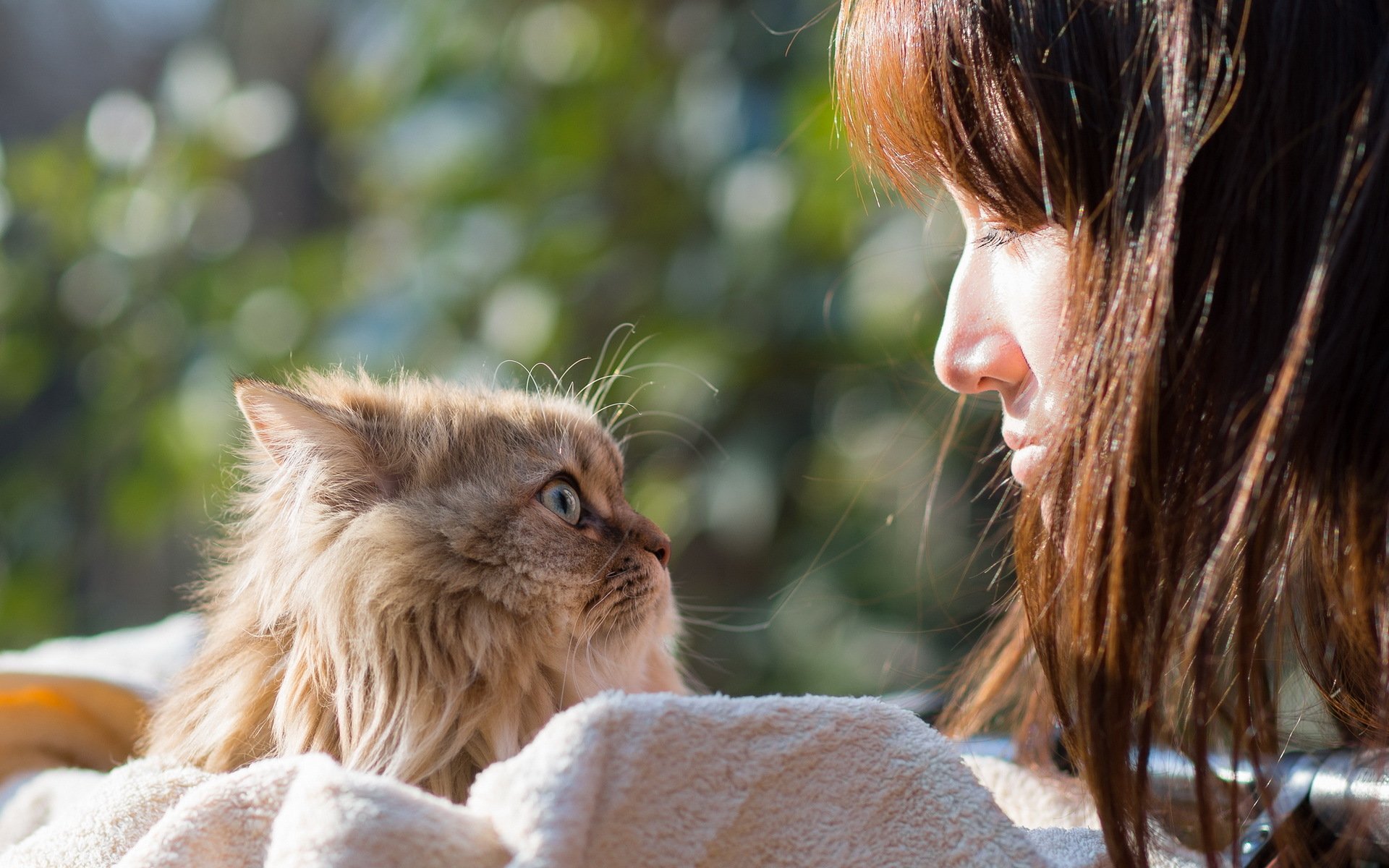 girl cat mood torode