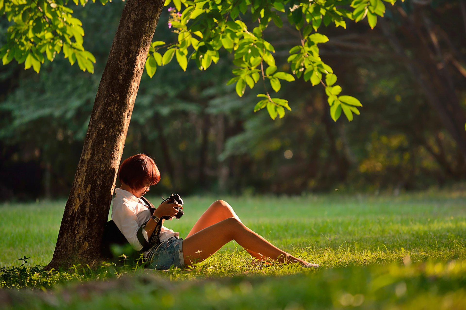 fotografo: ragazza macchina fotografica gambe pantaloncini bangkok thailandia