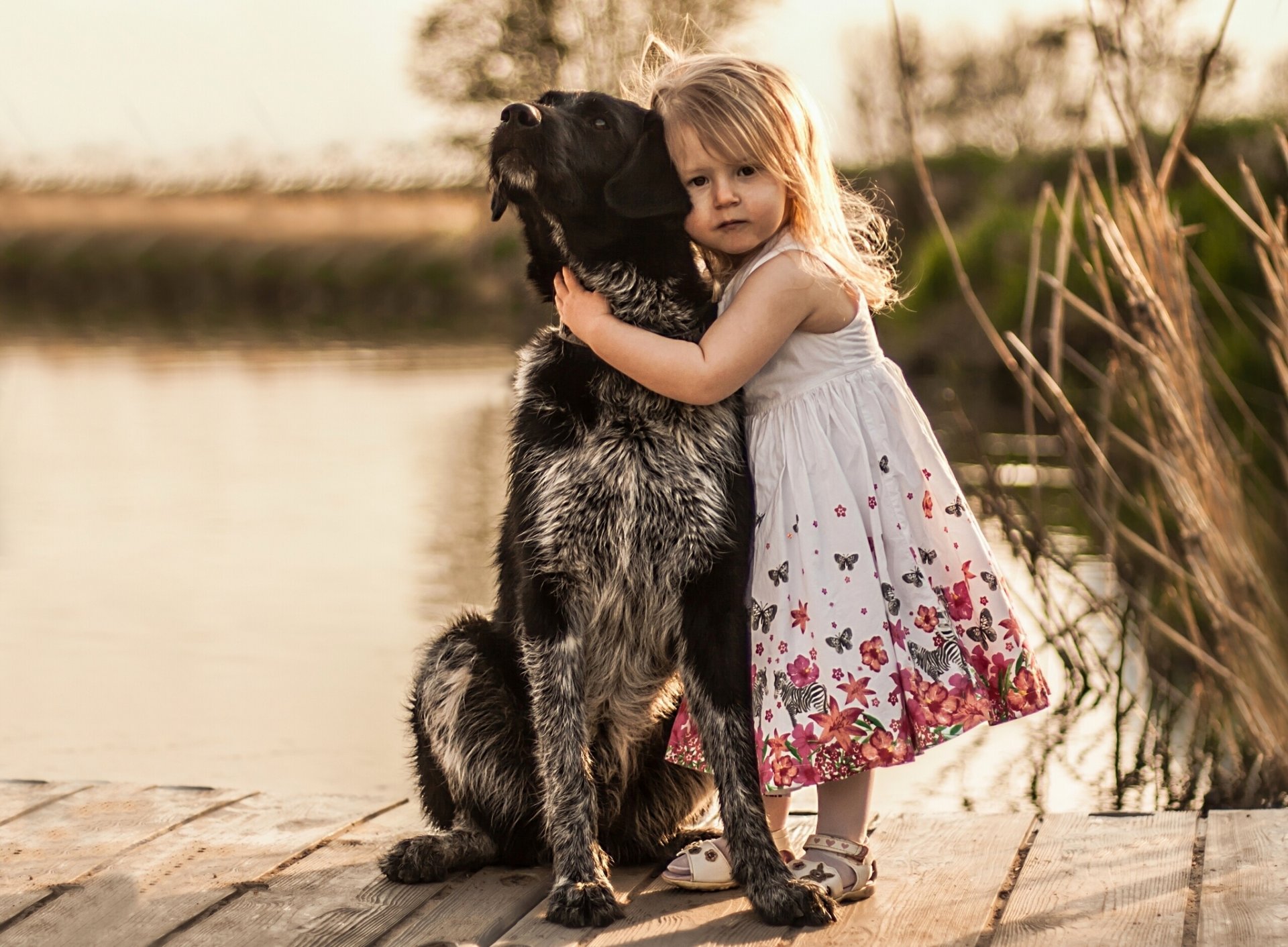 mädchen hund freunde