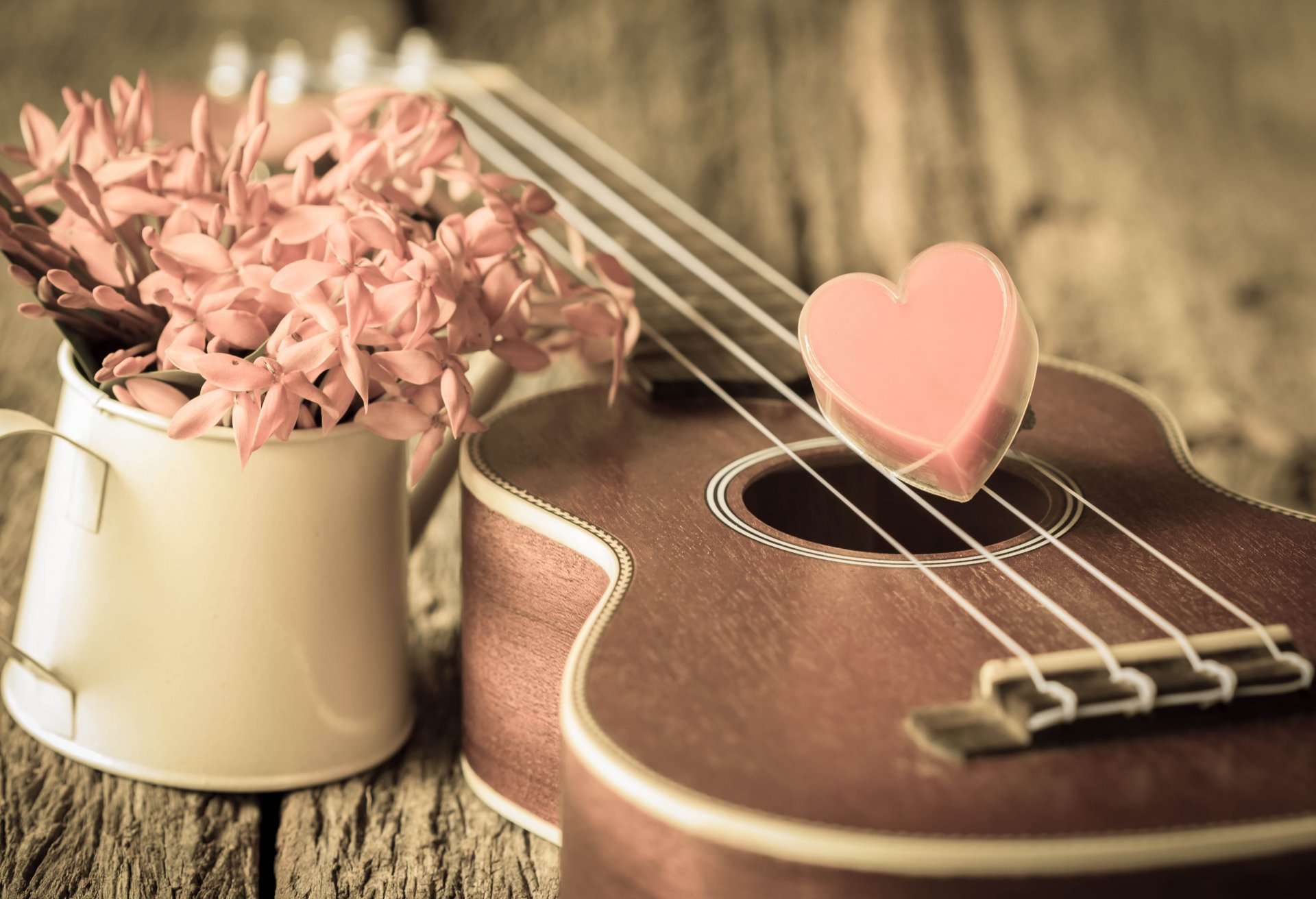 vintage amore romantico cuore ukulele fiori