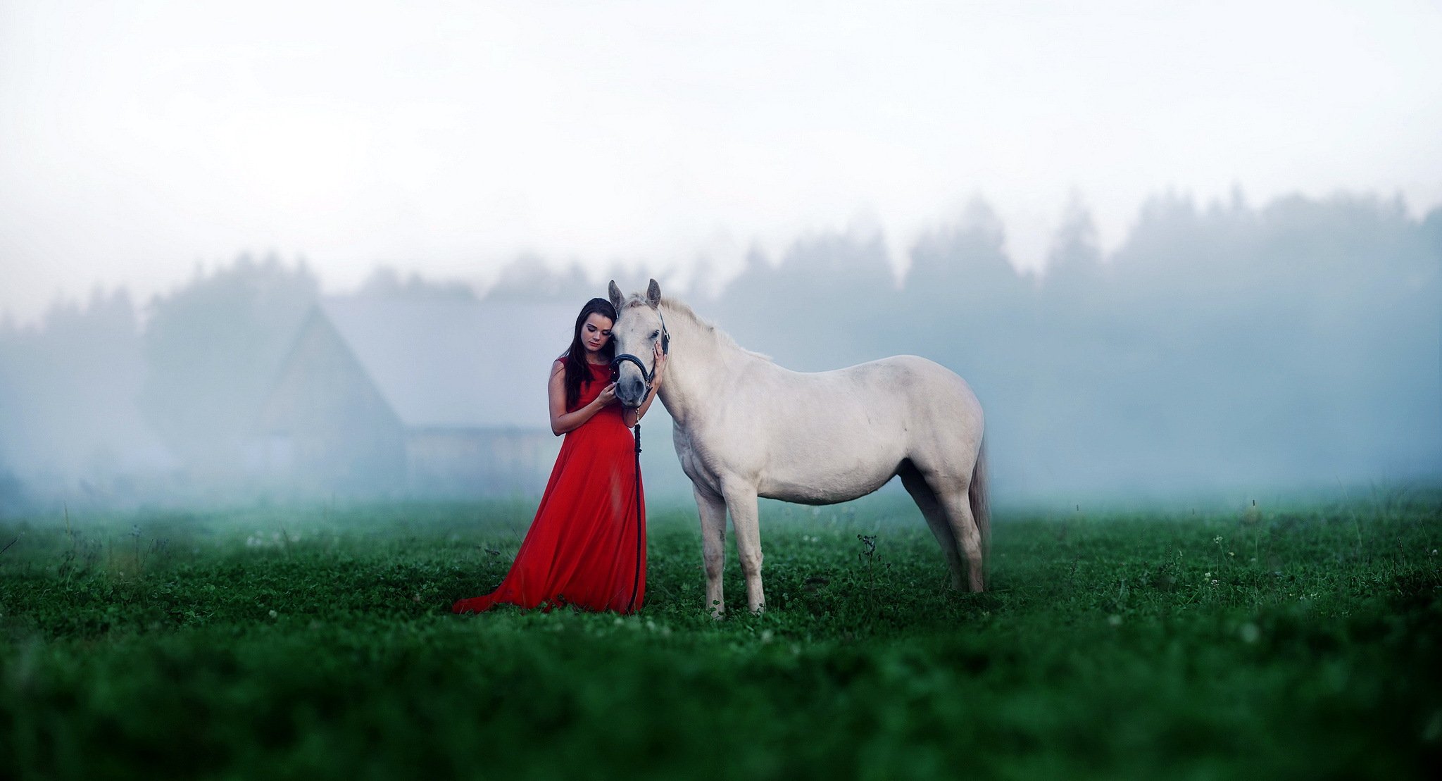 ragazza cavallo umore