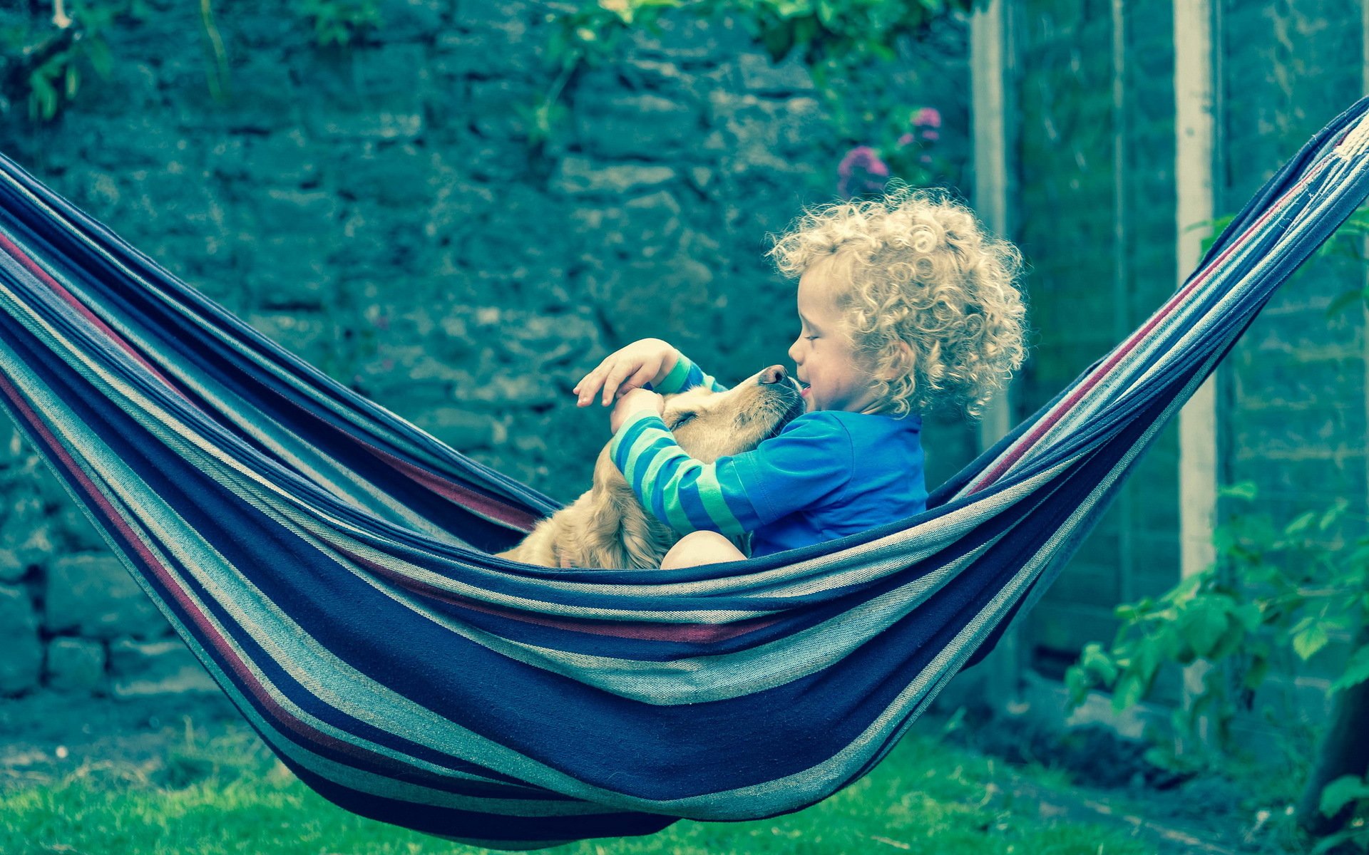 dog hammock mood