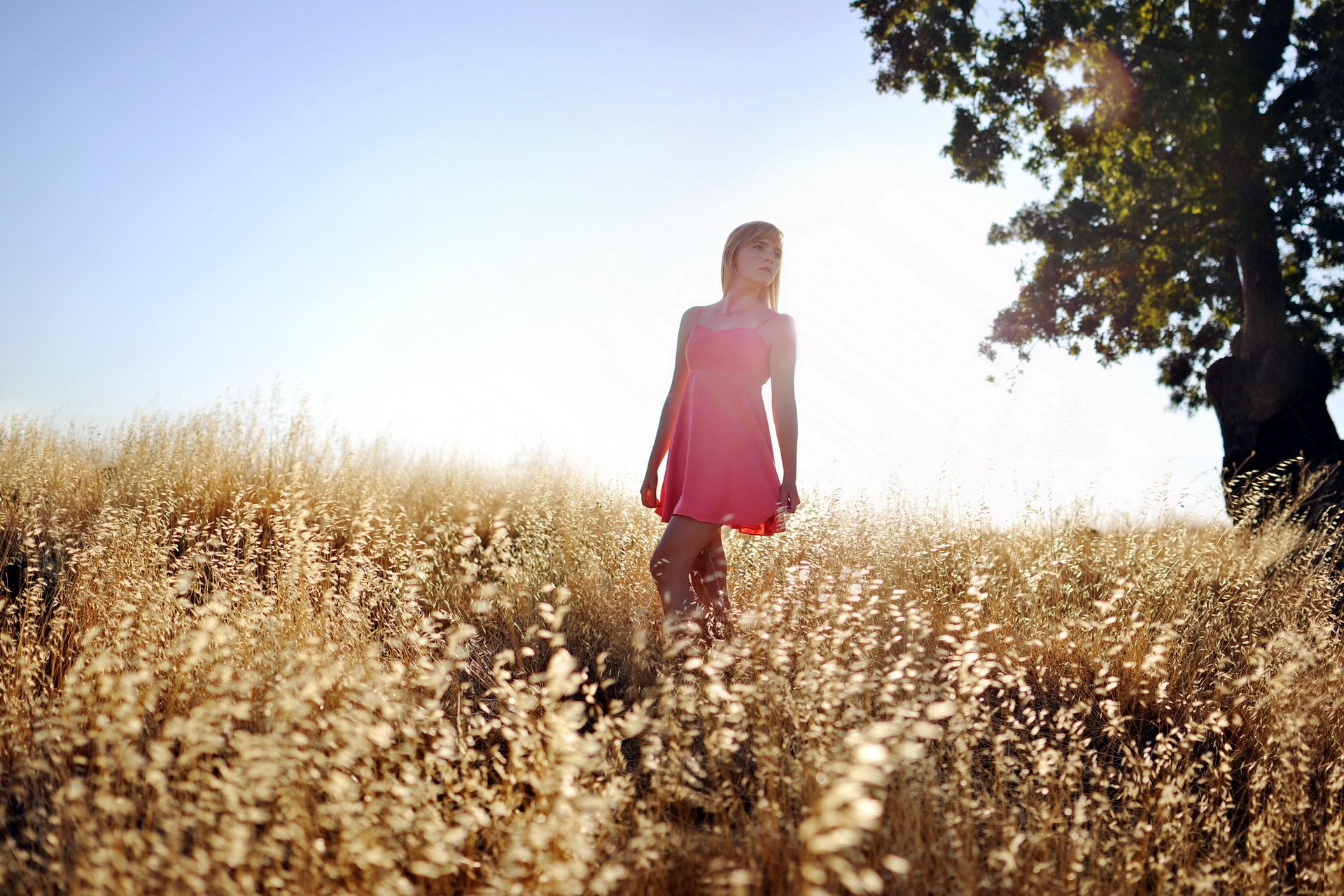 girl summer light the field