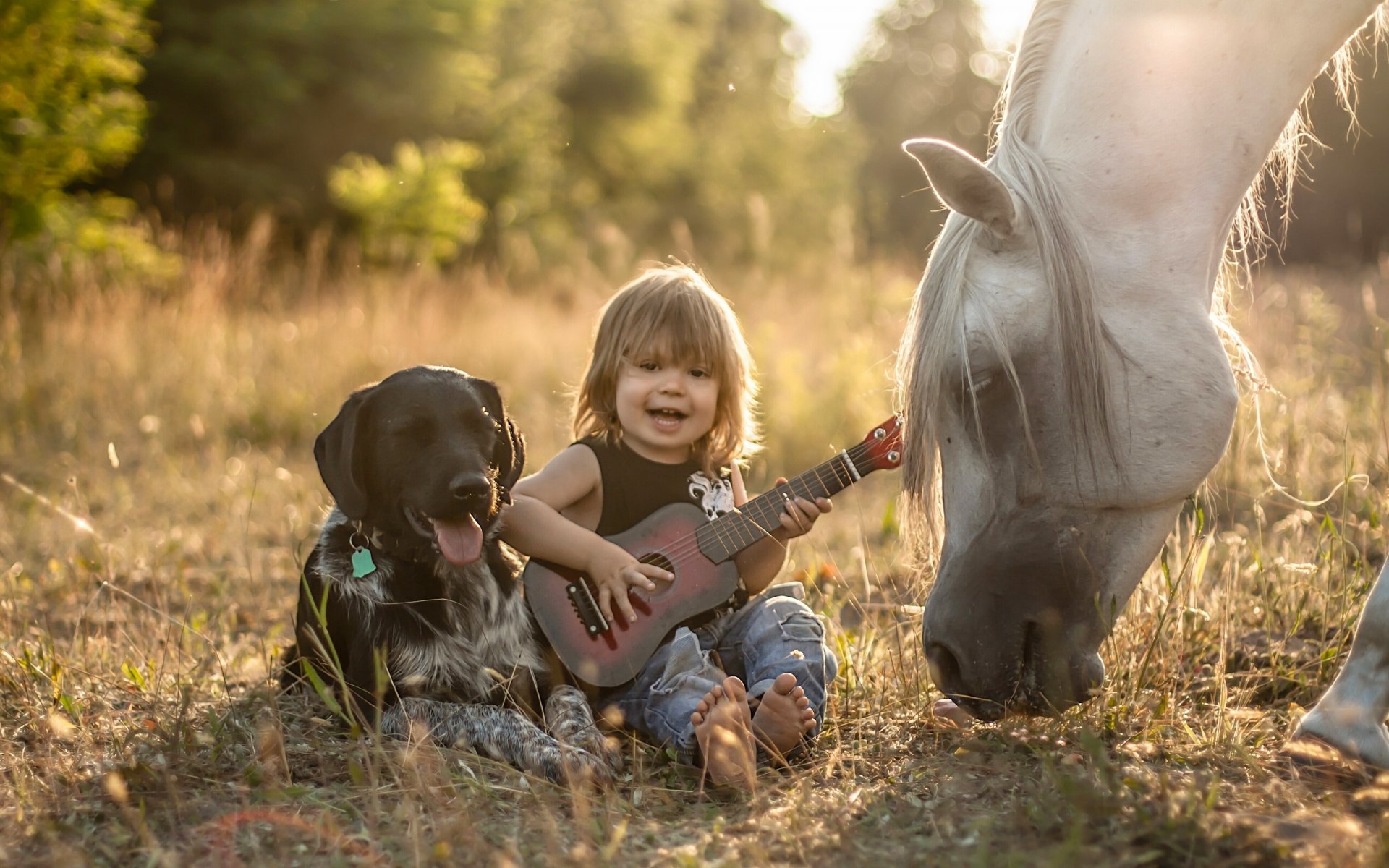le garçon le chien le cheval le cheval les amis l amitié la guitare
