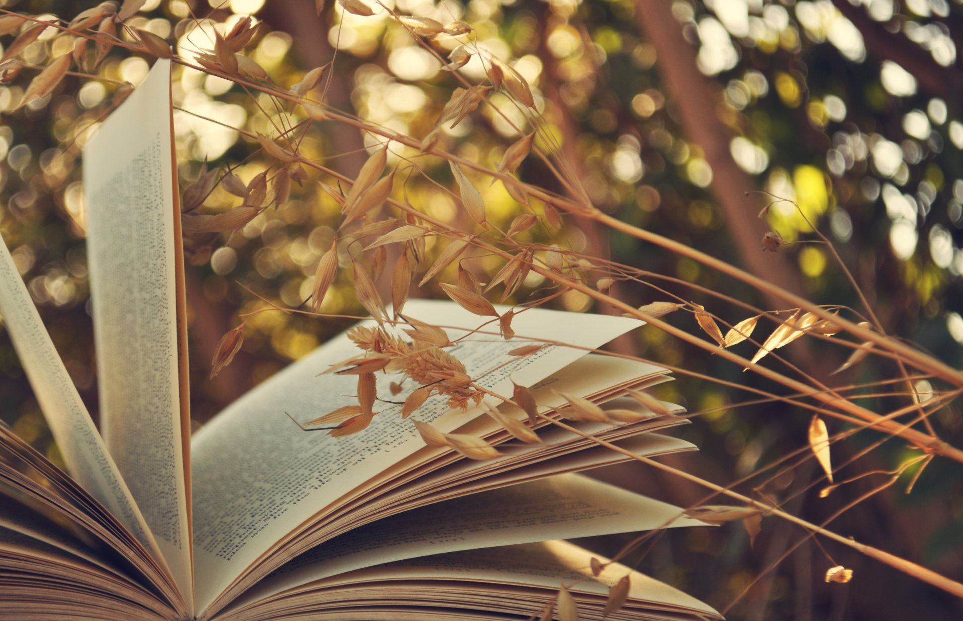 libro pagine erba