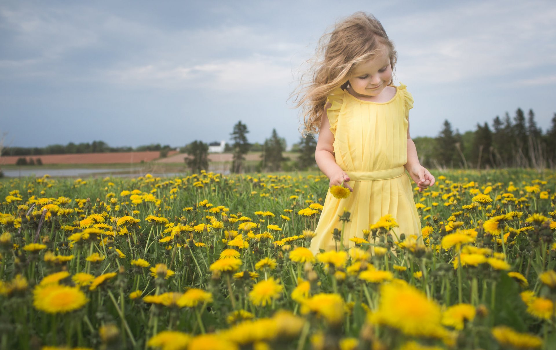 girl meadow dandelions flower nature mood