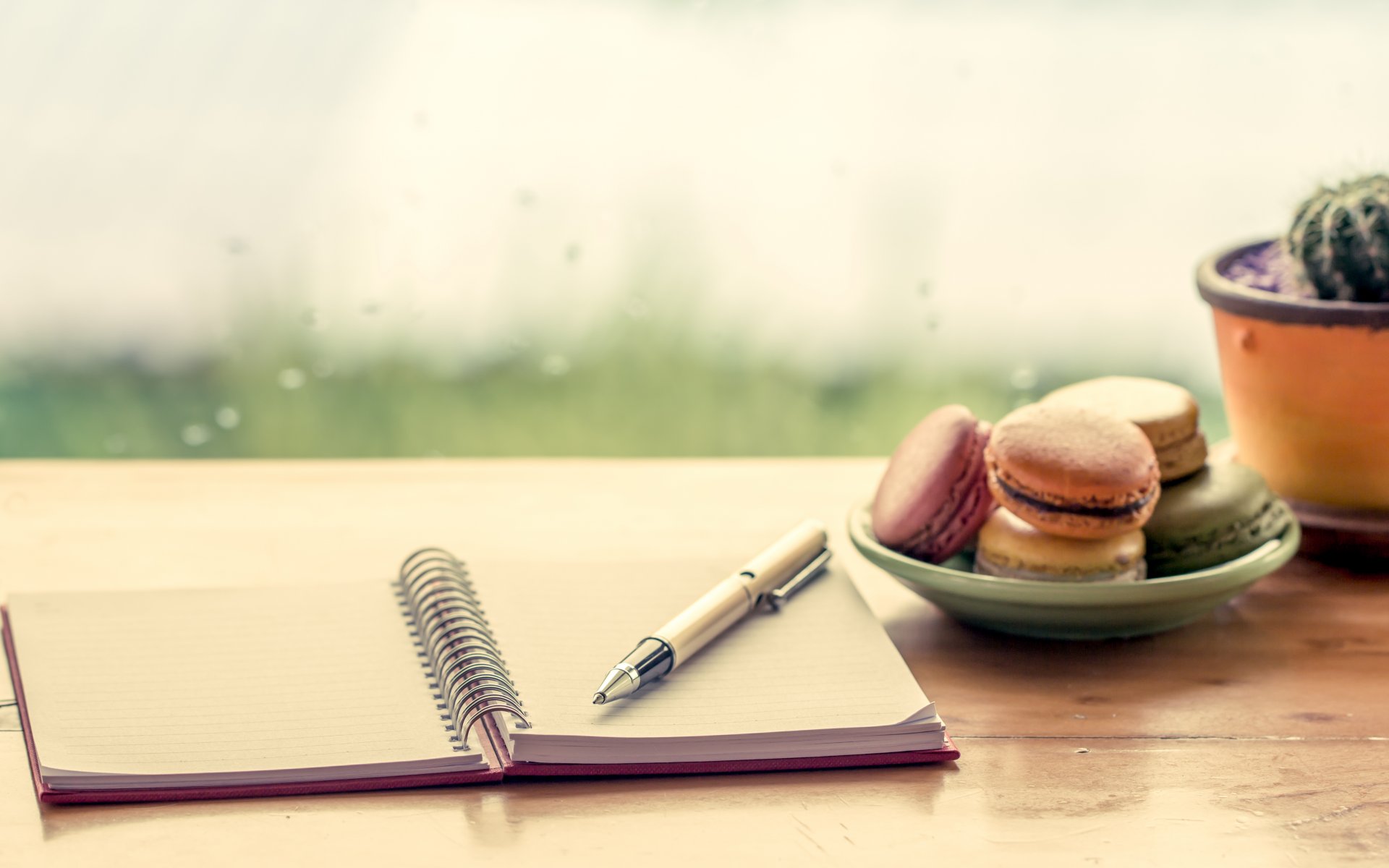 macaron ciasteczka deser makaronik notatnik długopis