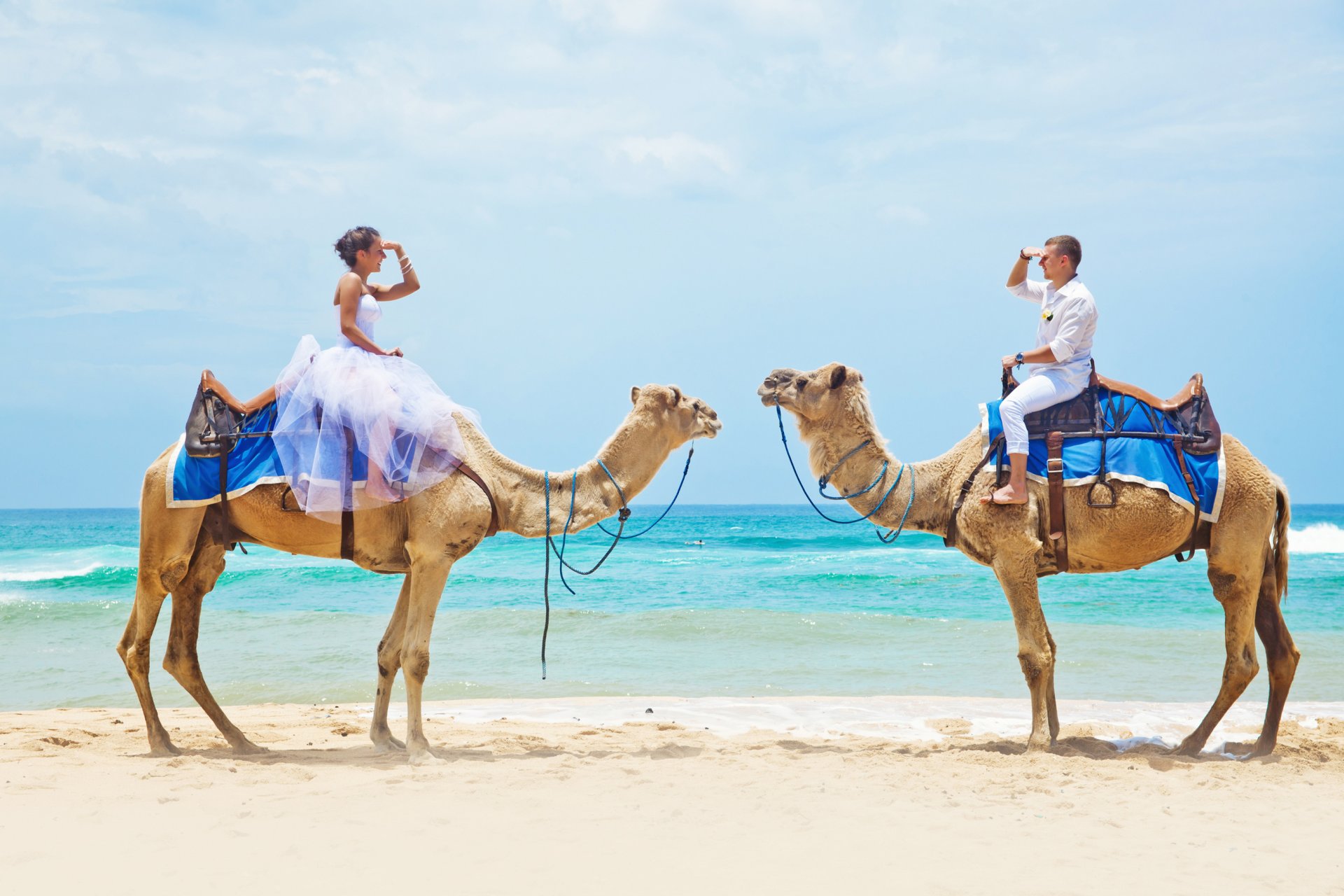 ea beach camels couple