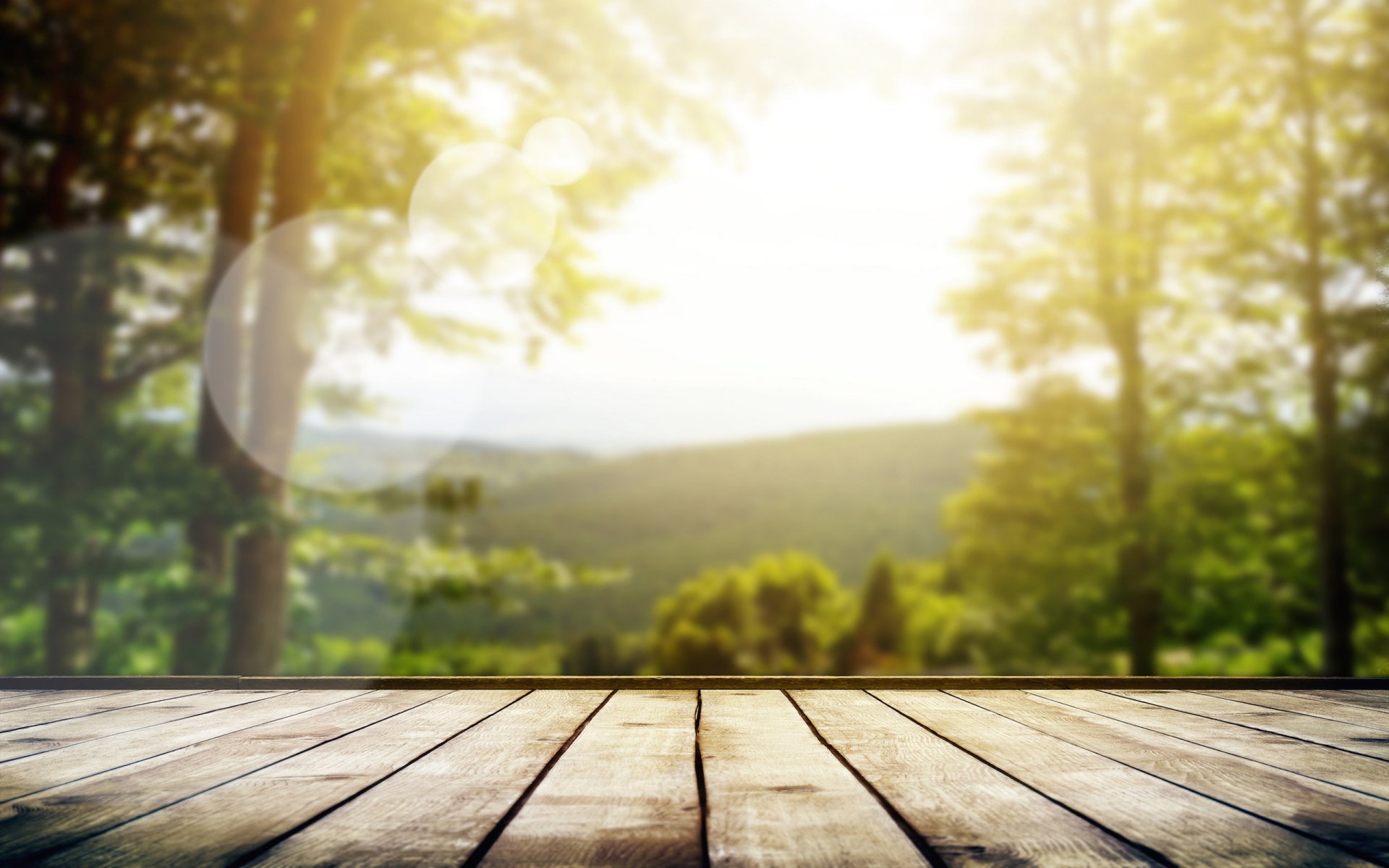 stimmung makro natur morgen sommer licht sonne strahlen bäume bokeh boden bretter wald himmel unschärfe fokus linsen hintergrundtapete 2560x1600 desktop-hintergrund