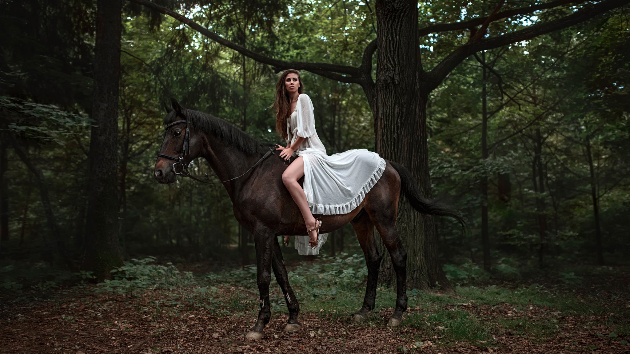elena bellfegora girl horse forest adventure leg george chernyad ev