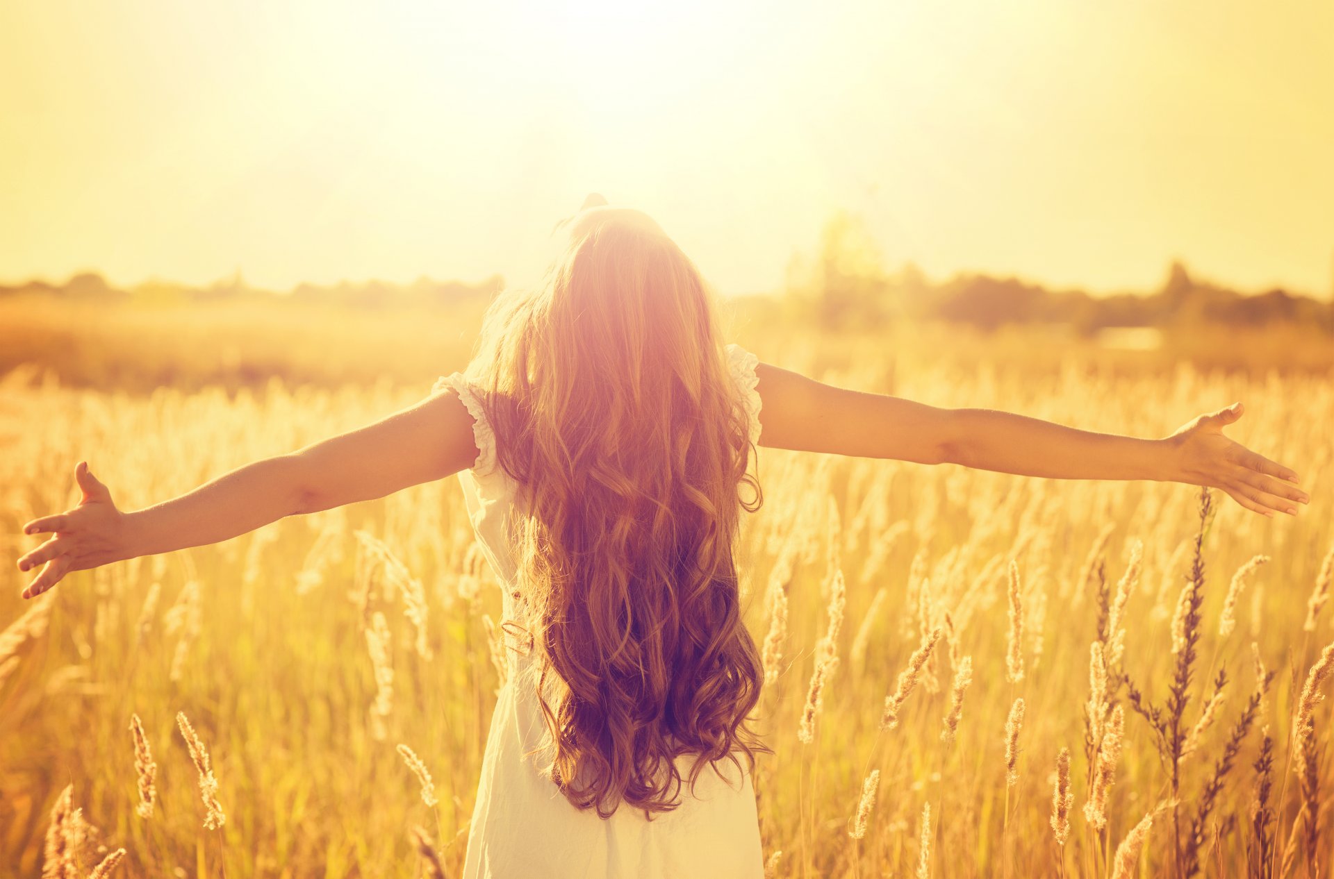 fille paysage blé soleil champ espace humeur