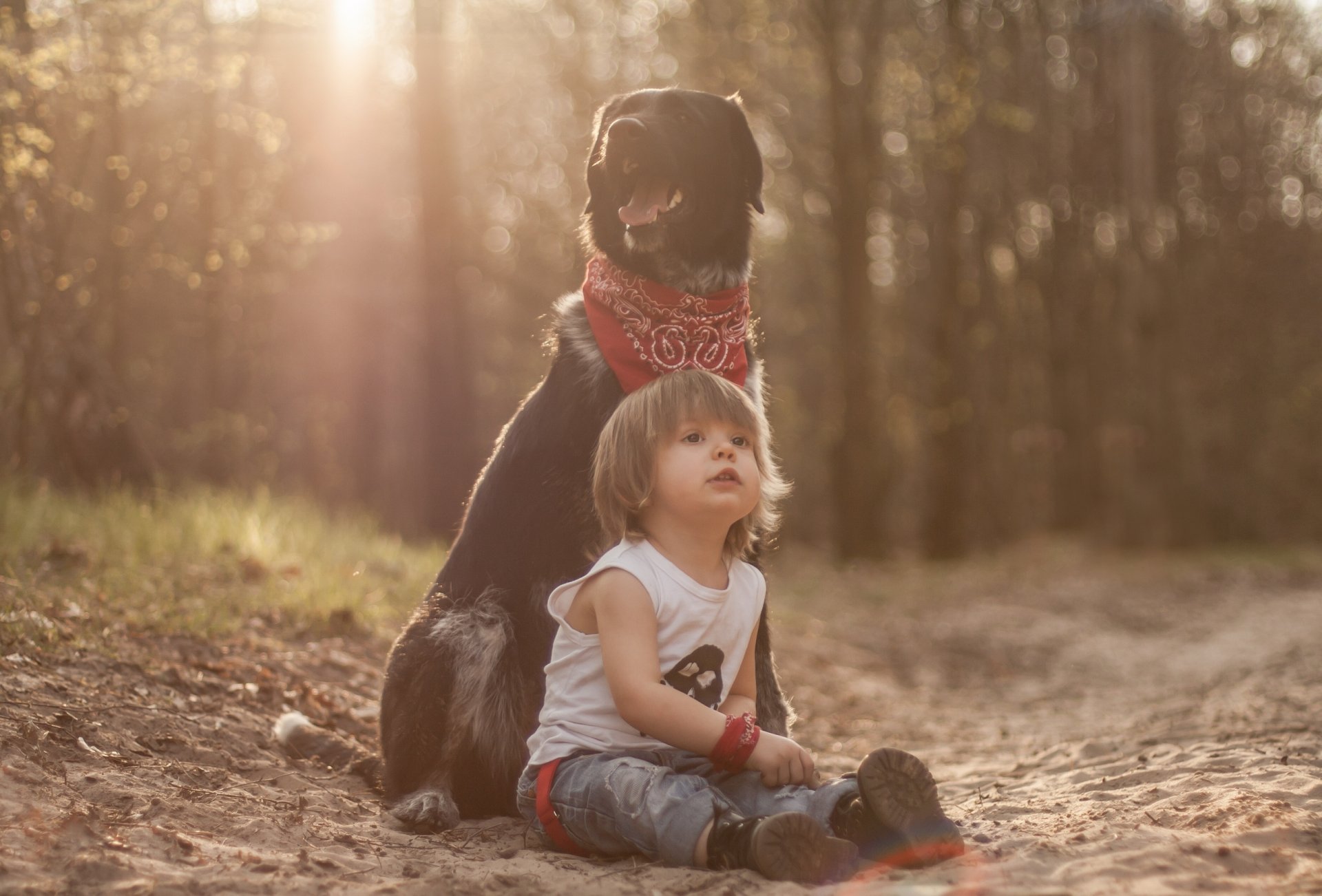 junge hund freunde