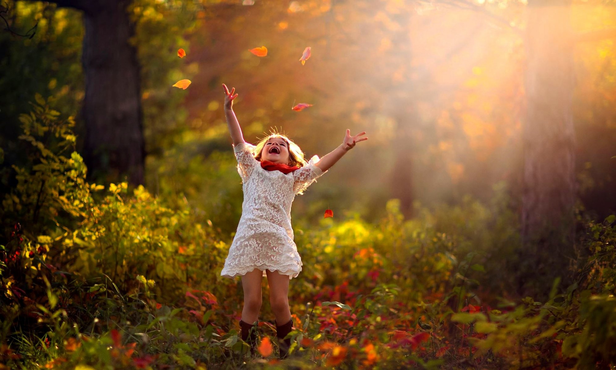 l automne enfant fille des feuilles de la forêt la nature les arbres