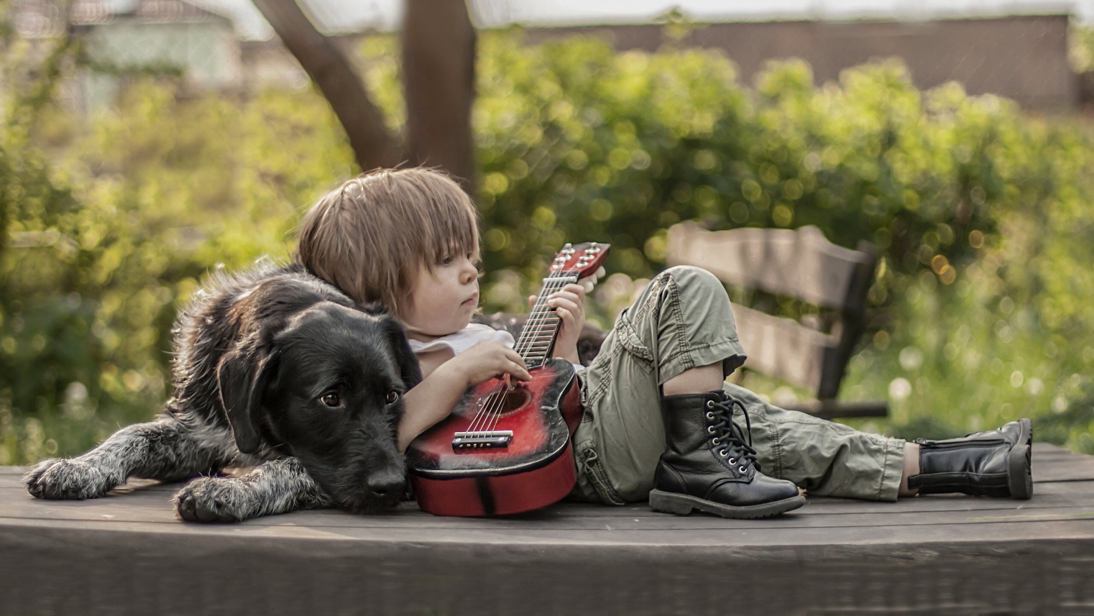 dog boys friends guitars shoe