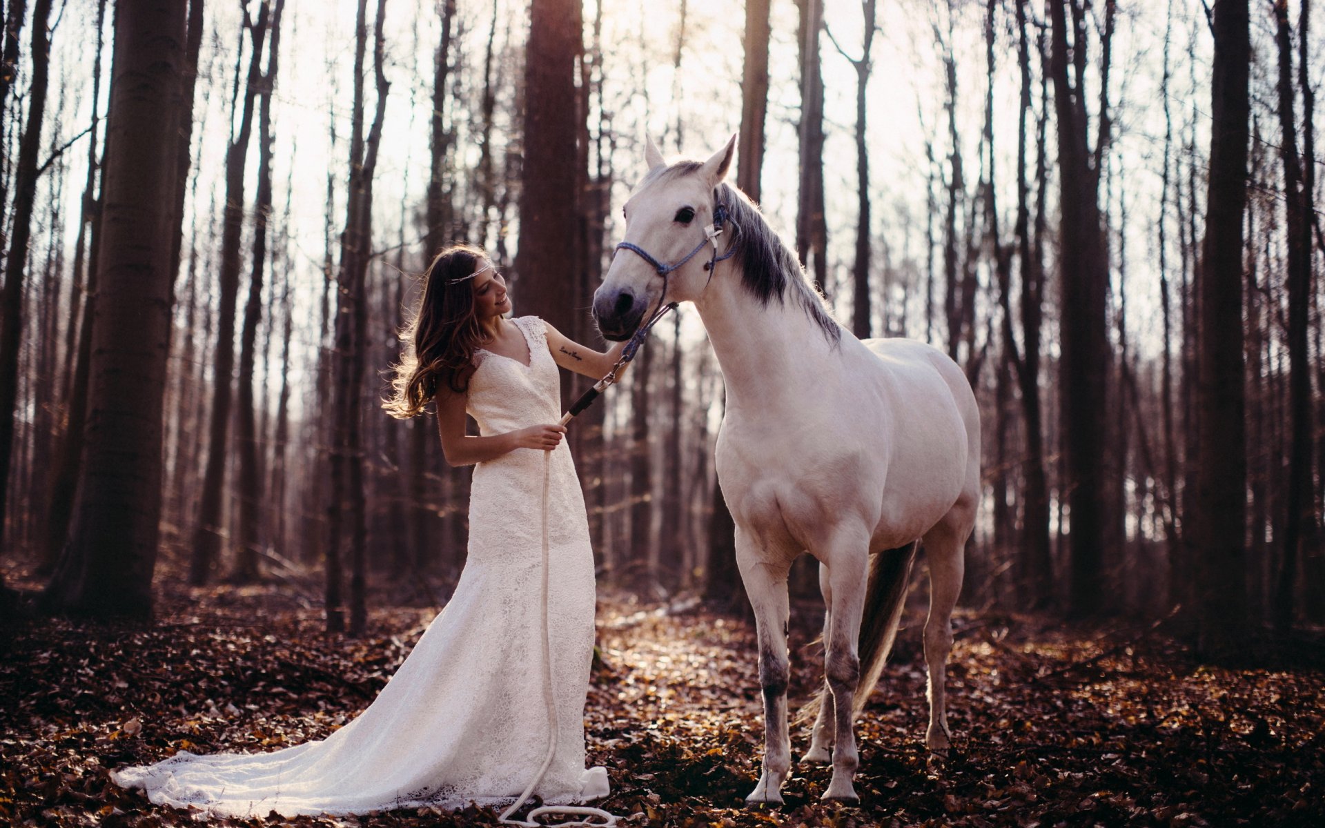 la jeune fille le cheval la forêt