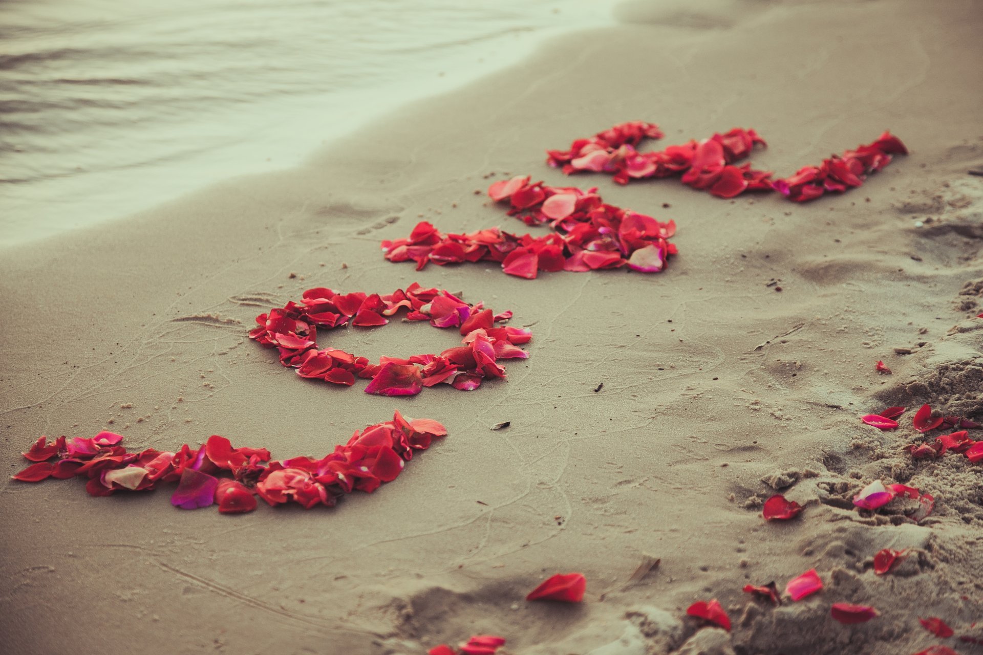 love romantic petals sand beach sea romance