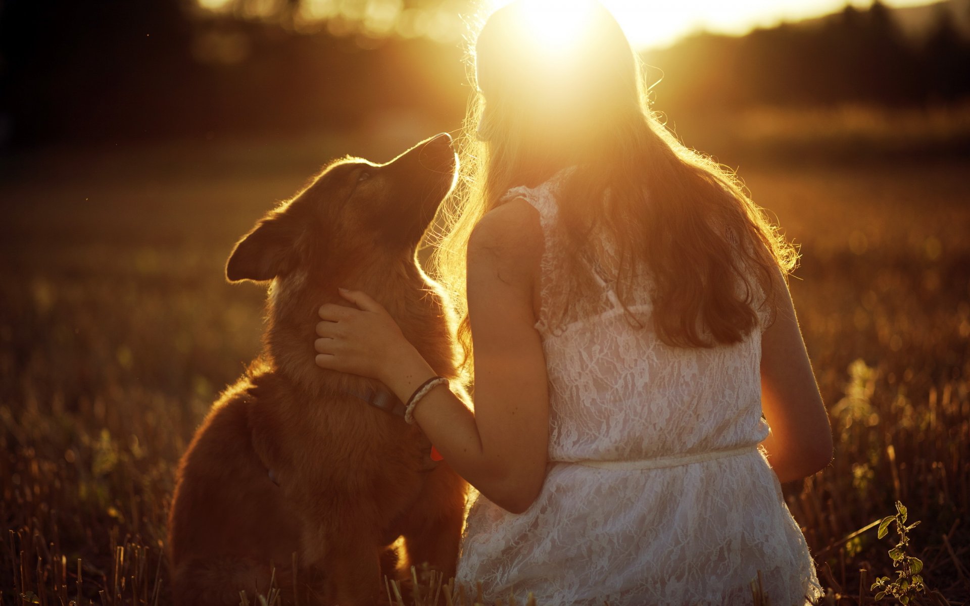 chica perro luz estado de ánimo