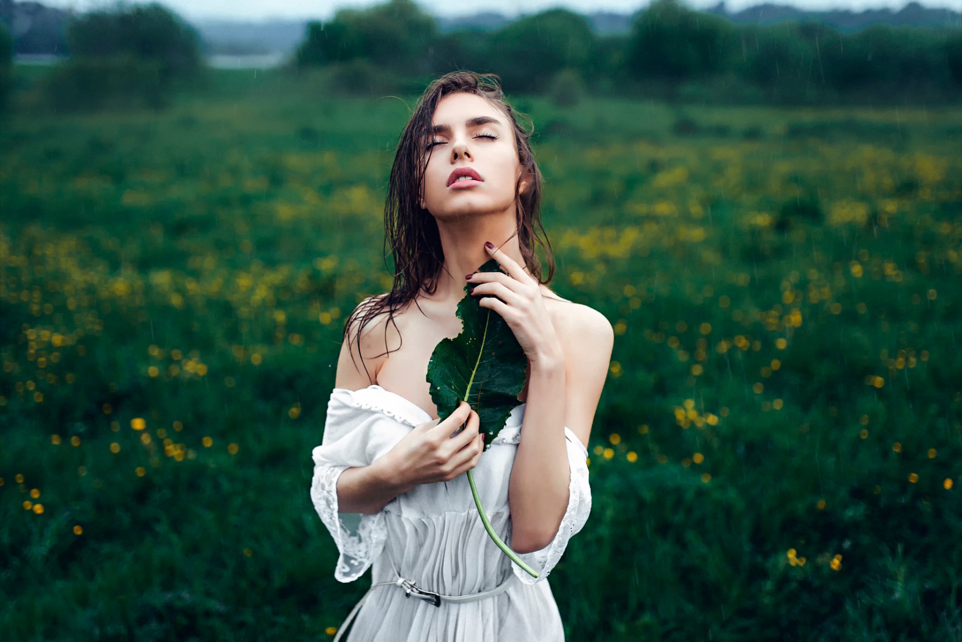 le ressort de la pluie la vesce le victoria le printemps la pluie la feuille george чернядьев