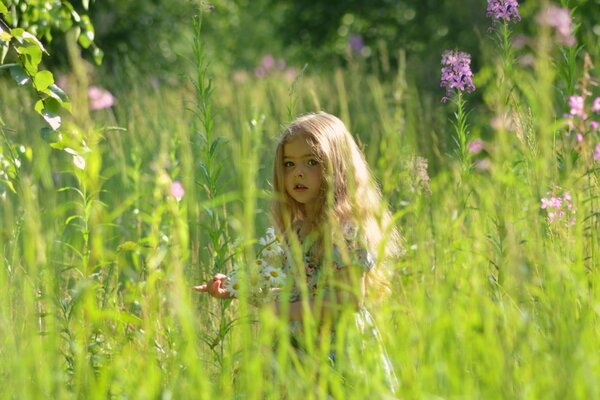 A girl with a daisy and walks in the field