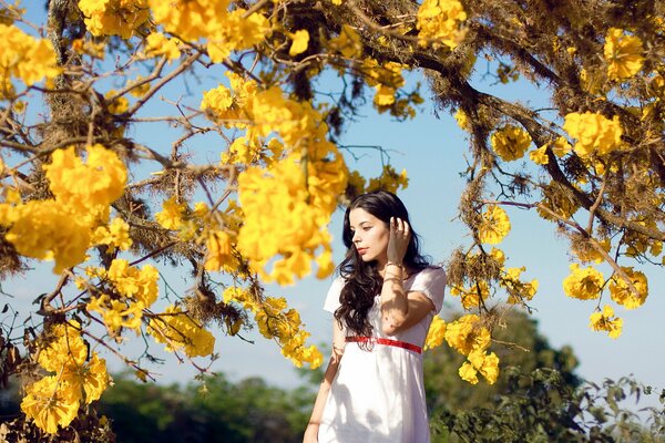 Foto de modelo en el fondo de un árbol amarillo