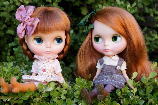 Two dolls on a background of green plants