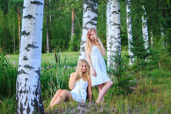 Two girls in a birch grove