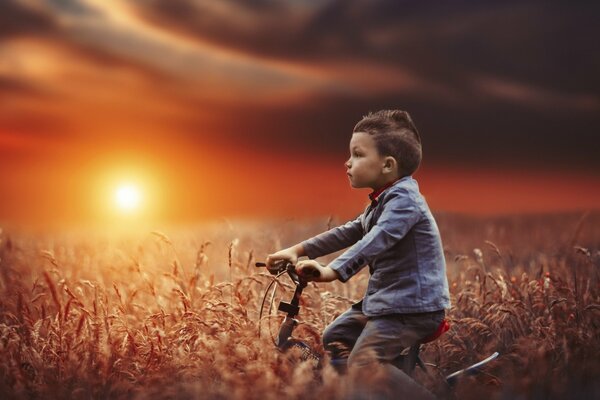 Un niño recorre el campo en bicicleta en medio de una puesta de sol