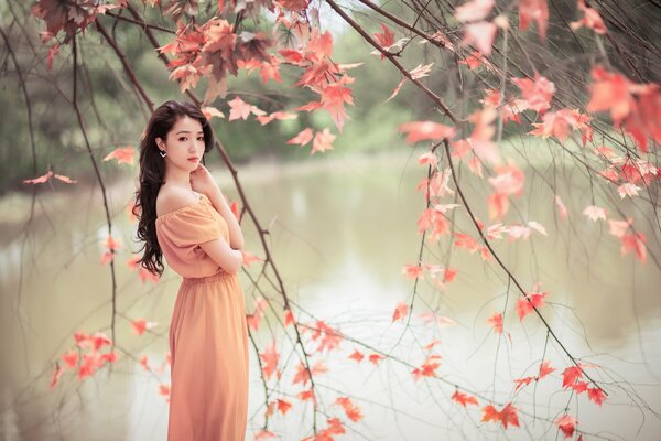 Asiático en la naturaleza con hermosas hojas