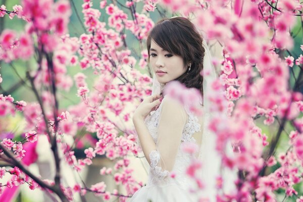 The bride is in sakura. Girl in flowers