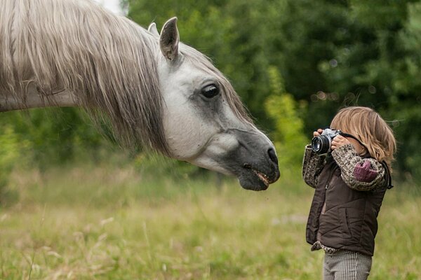 Маленький мальчик фотографирует лошадь